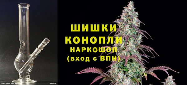 молекула духа Заводоуковск
