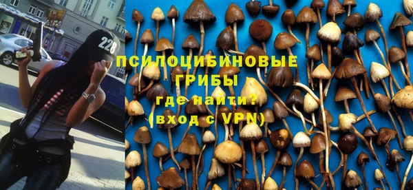 молекула духа Заводоуковск