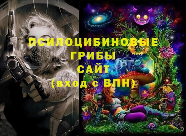 молекула духа Заводоуковск