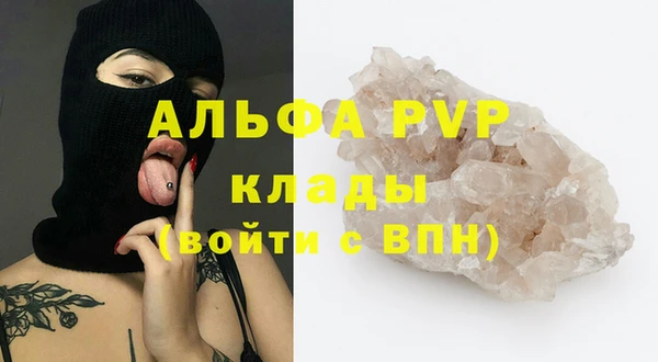 стаф Заволжск