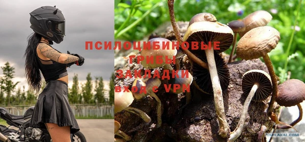 молекула духа Заводоуковск