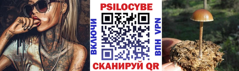 Псилоцибиновые грибы Magic Shrooms  Купить закладки  Дмитров 